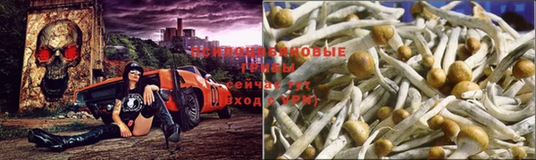 кокаин Алексеевка