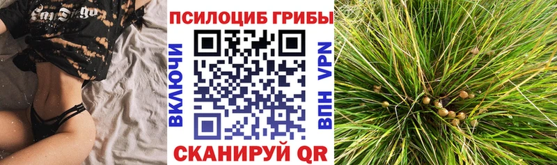 Псилоцибиновые грибы Cubensis  кракен ONION  Баймак 